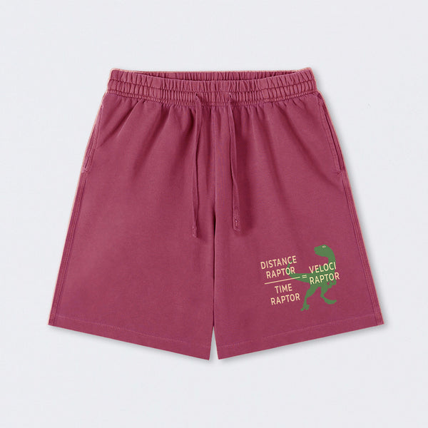 Equations Of Motion Science Velociraptor Washed Shorts