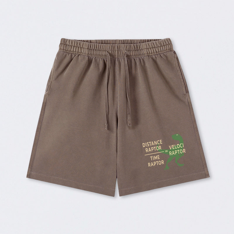 Equations Of Motion Science Velociraptor Washed Shorts