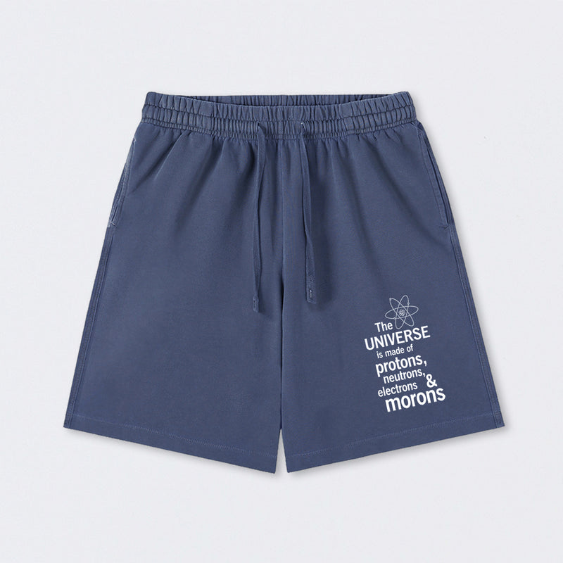 The composition of the universe Science Washed Shorts