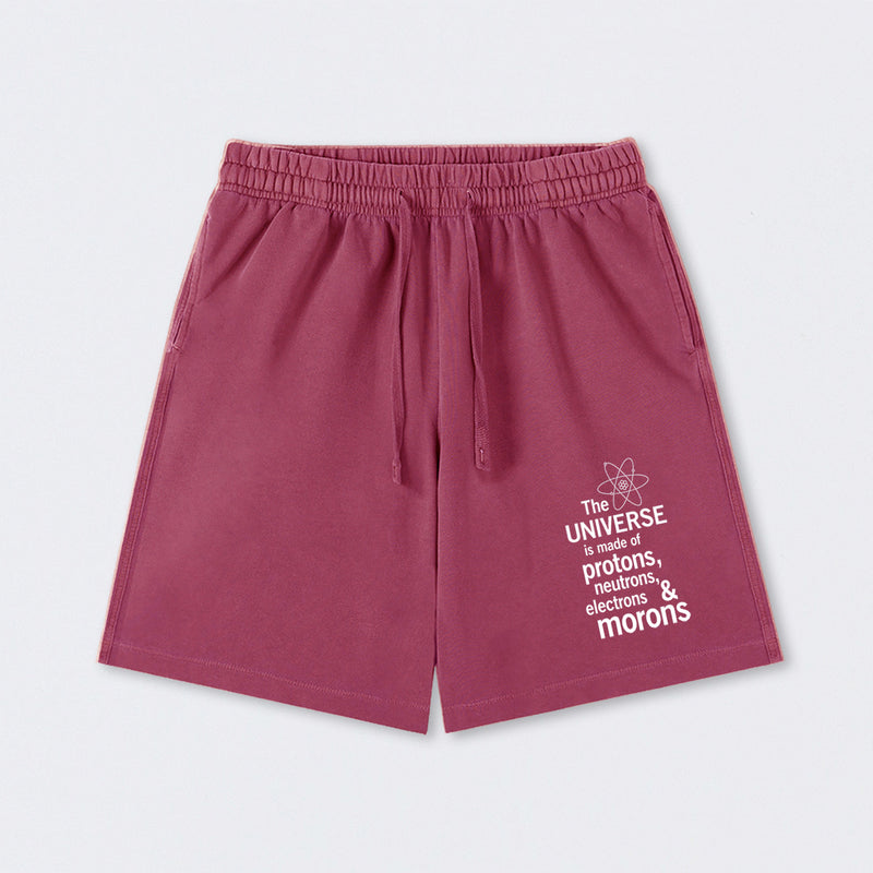 The composition of the universe Science Washed Shorts