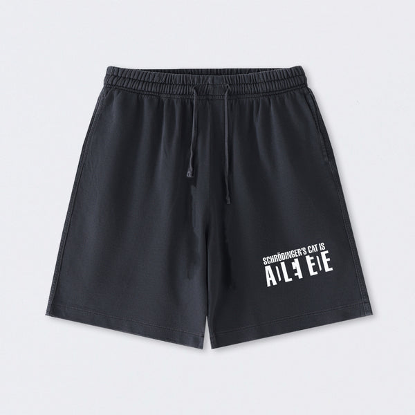 SchrÖdinger's Cat ADLEIAVDE Science Washed Shorts