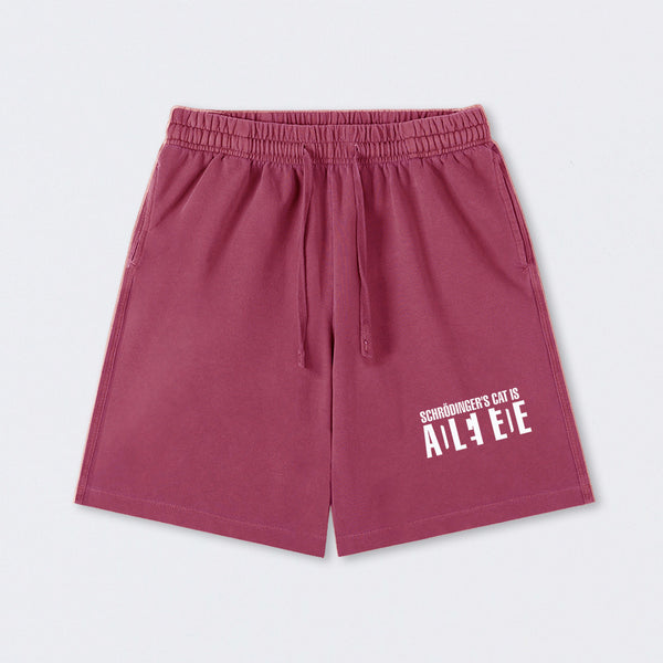 SchrÖdinger's Cat ADLEIAVDE Science Washed Shorts
