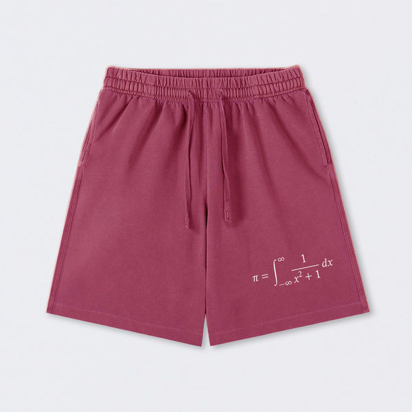 The Constant Number Pi Washed Shorts