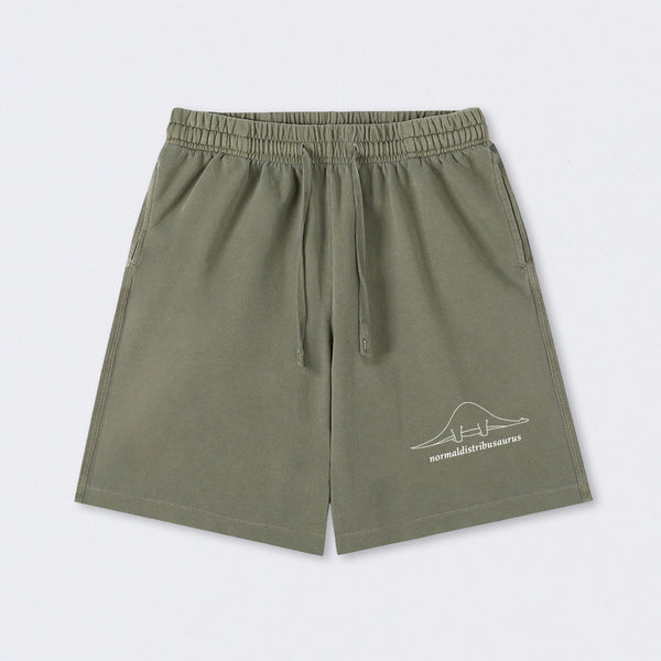 Normal Distribution Dinosaur Washed Shorts