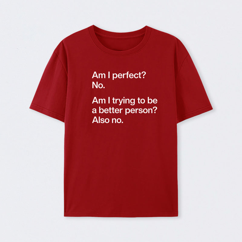 Am I Perfect No T-Shirt