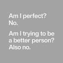 Am I Perfect No T-Shirt