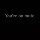 You're on Mute T-Shirt