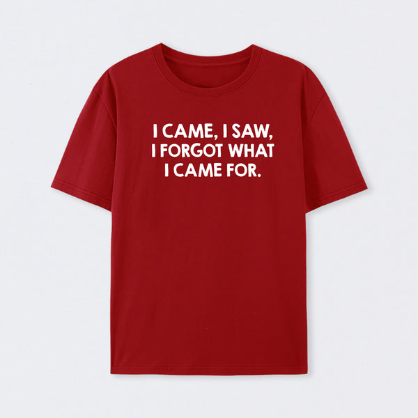 I Came and Saw T-Shirt
