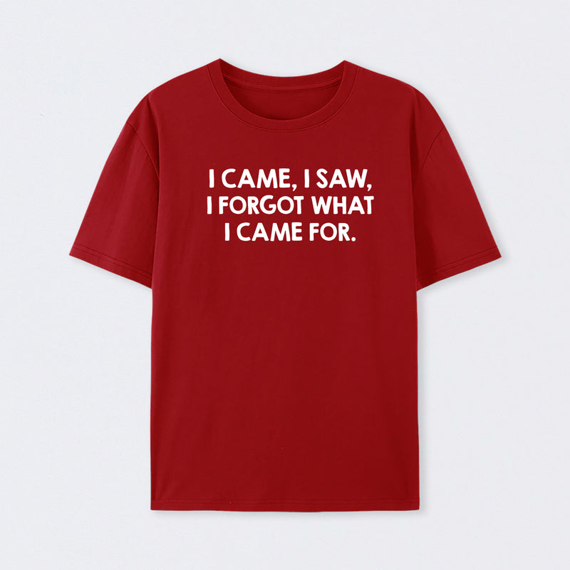 I Came and Saw T-Shirt