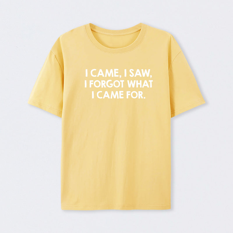 I Came and Saw T-Shirt