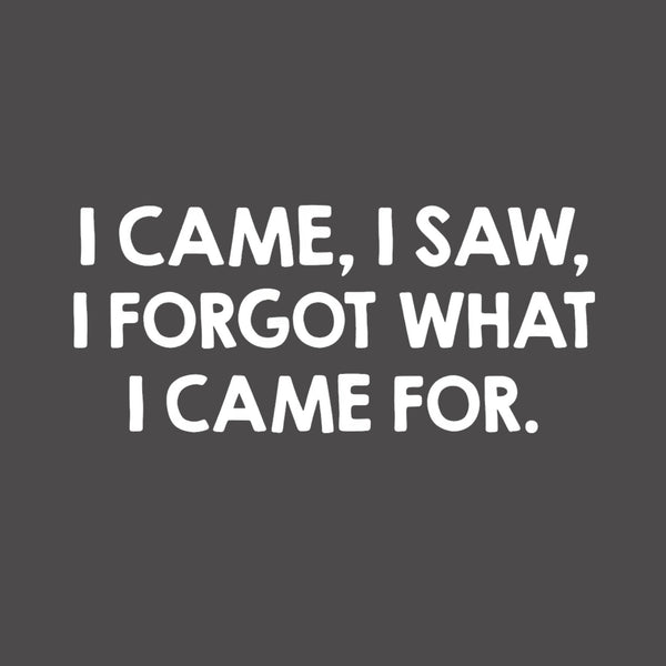 I Came and Saw T-Shirt