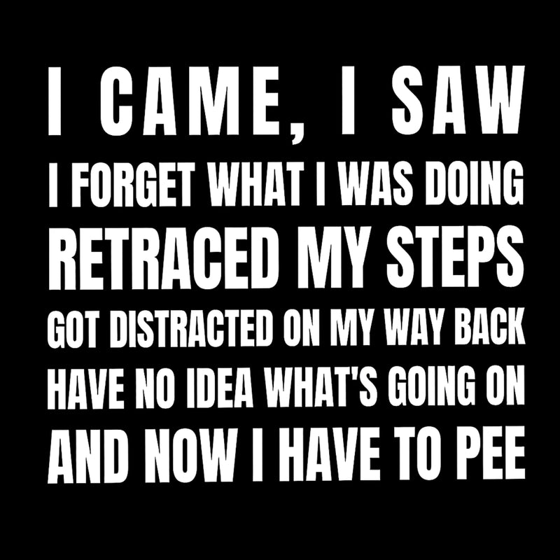 I Came, I Saw, I Have To Pee T-Shirt