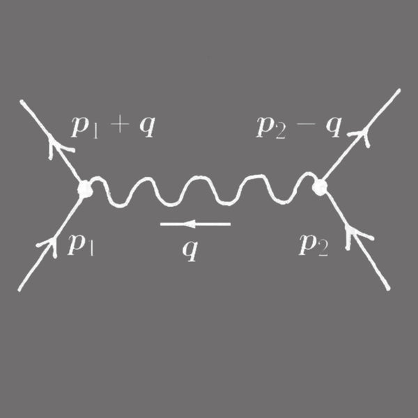Feynman diagram, quantum field theory and particle physics T-Shirt