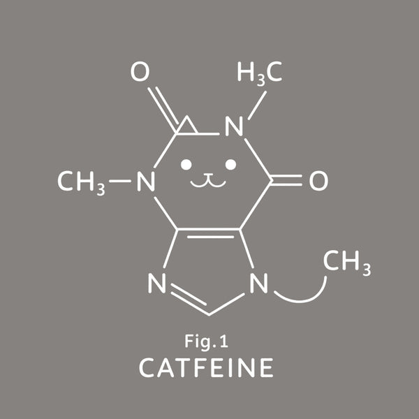 Catfeine Molecule T-Shirt