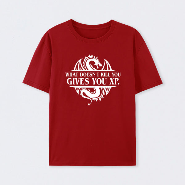 What Doesnt Kill You Give You Experience T-Shirt
