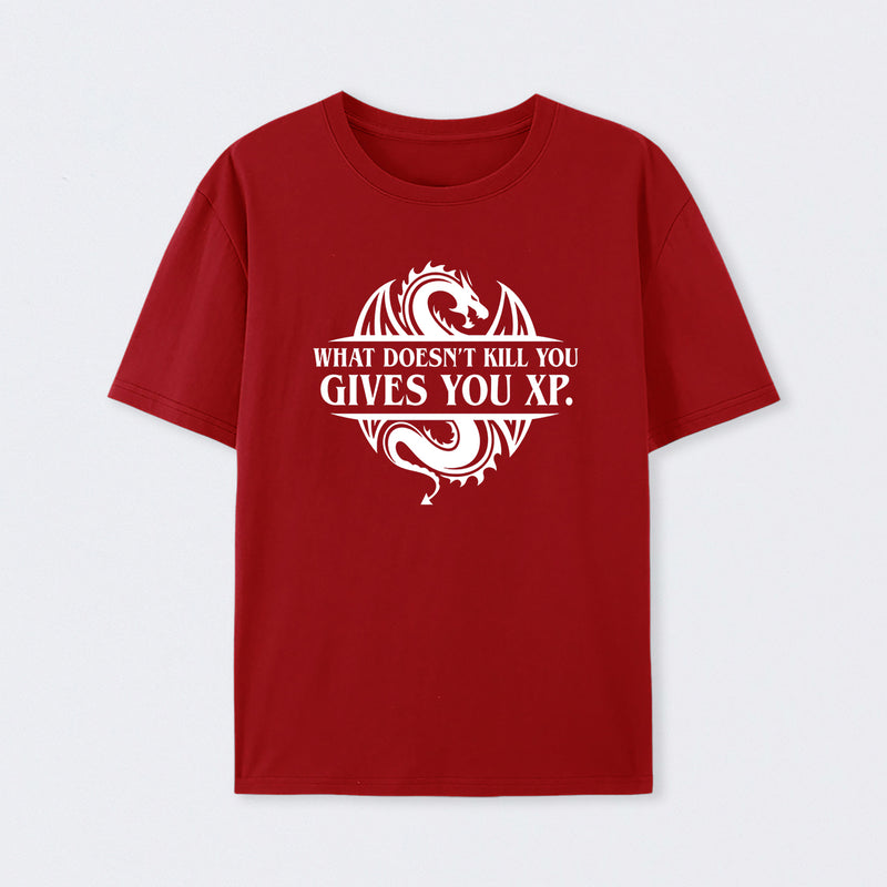 What Doesnt Kill You Give You Experience T-Shirt