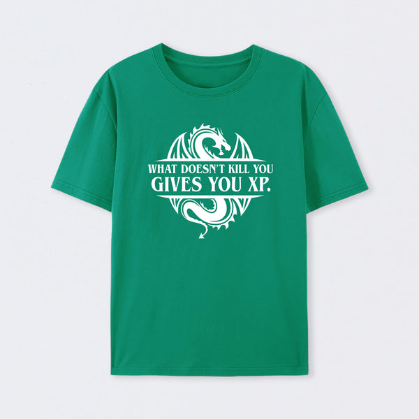 What Doesnt Kill You Give You Experience T-Shirt
