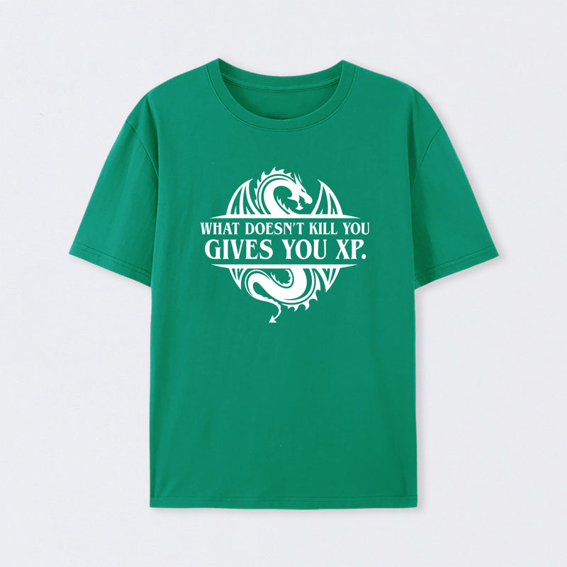 What Doesnt Kill You Give You Experience T-Shirt