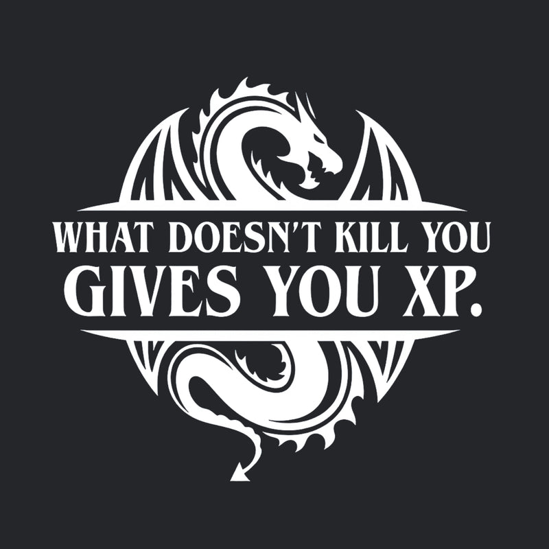 What Doesnt Kill You Give You Experience T-Shirt