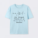 The Airspeed Velocity of an Unladen Swallow T-Shirt