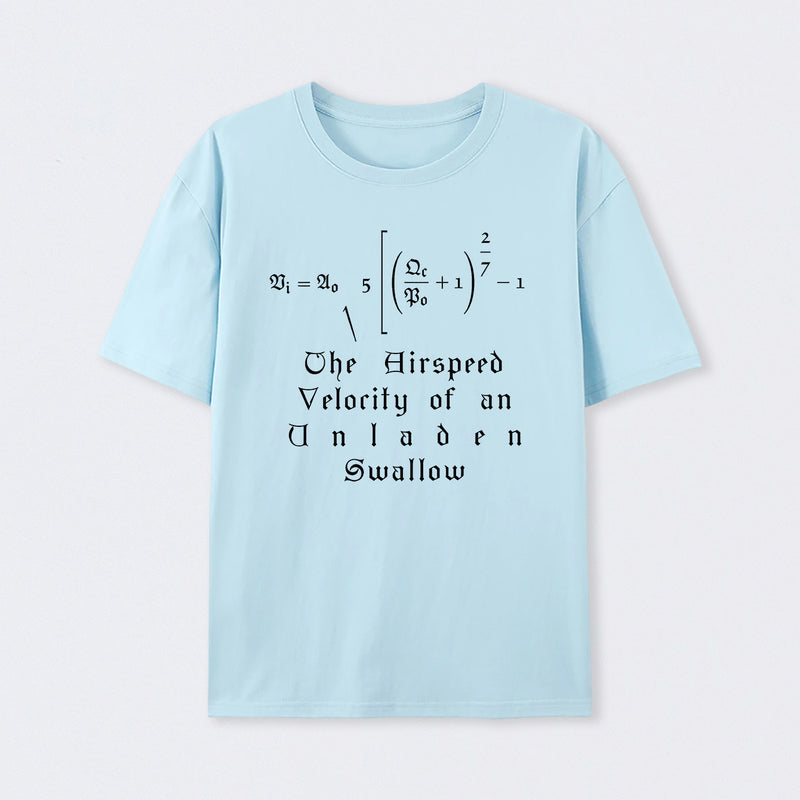 The Airspeed Velocity of an Unladen Swallow T-Shirt