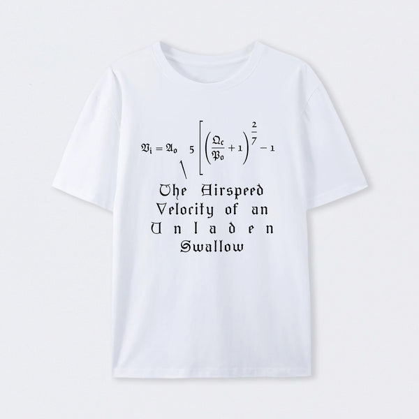 The Airspeed Velocity of an Unladen Swallow T-Shirt