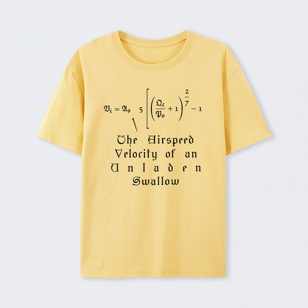 The Airspeed Velocity of an Unladen Swallow T-Shirt