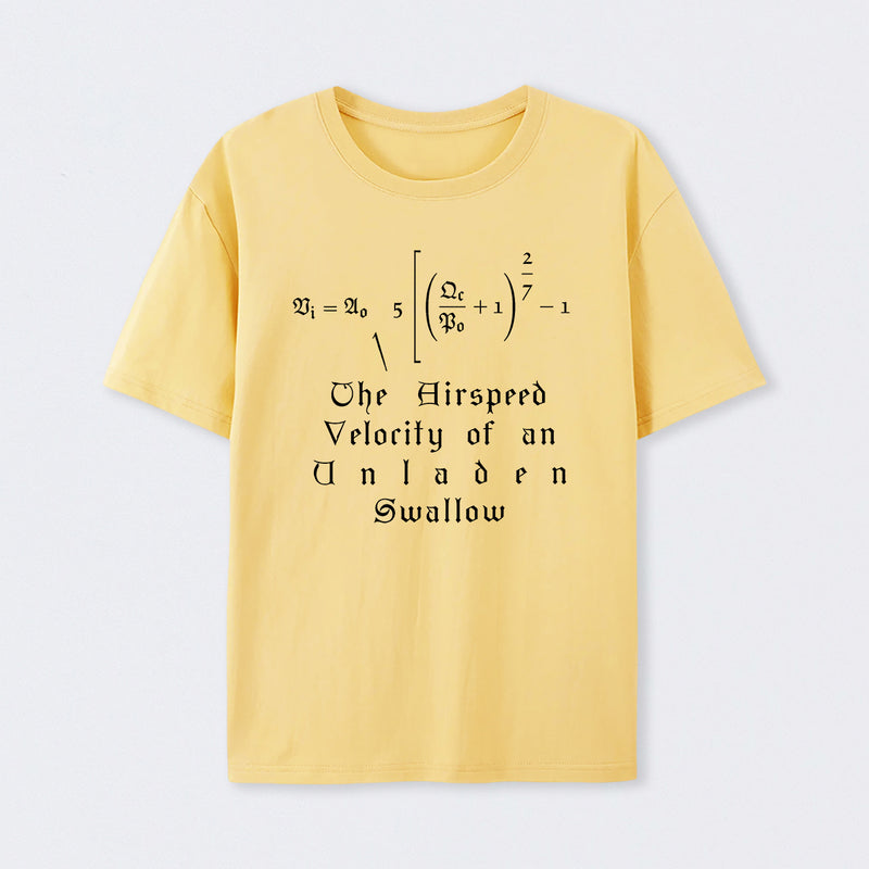 The Airspeed Velocity of an Unladen Swallow T-Shirt