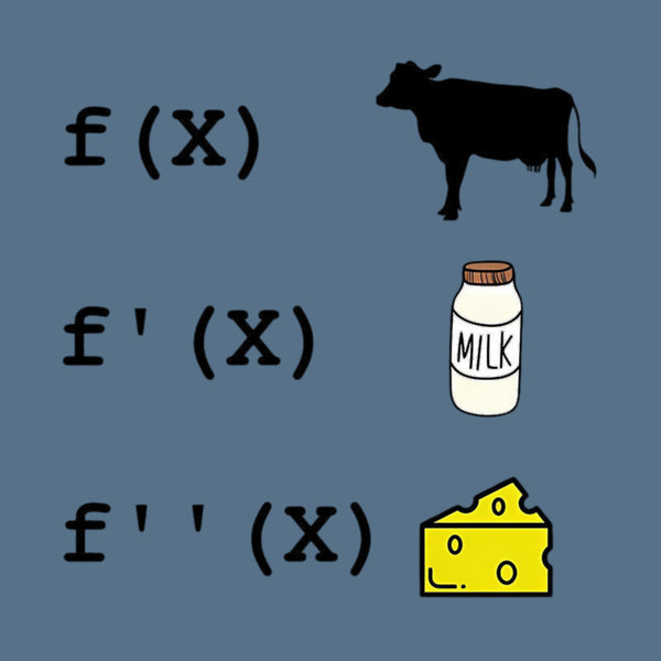 Funny Derivative Analysis Mathematics T-Shirt