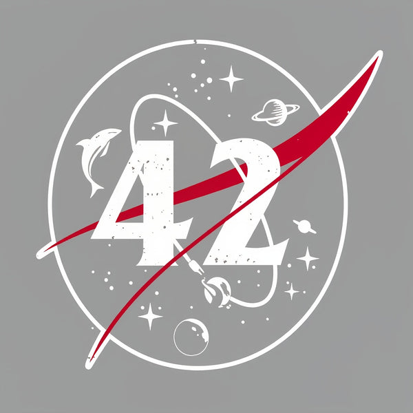 42 Life Universe Everything T-Shirt