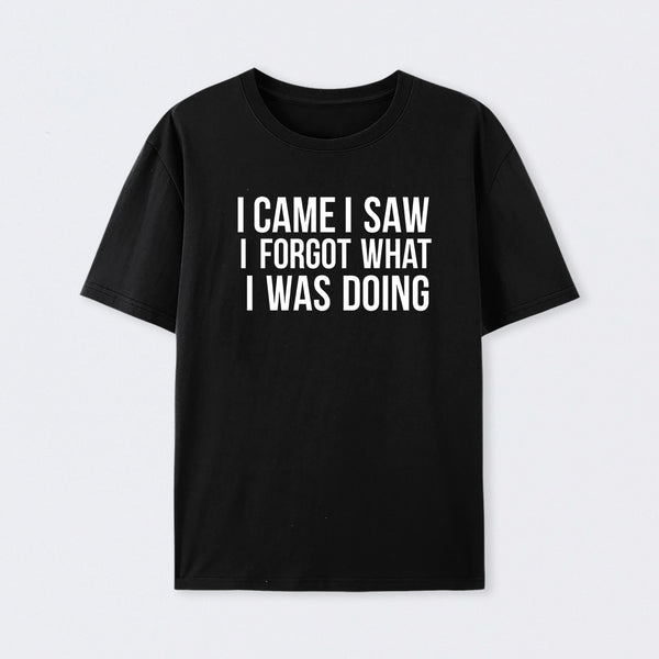 I Came I Saw I Forgot What I Was Doing Humor Joke Quote T-Shirt