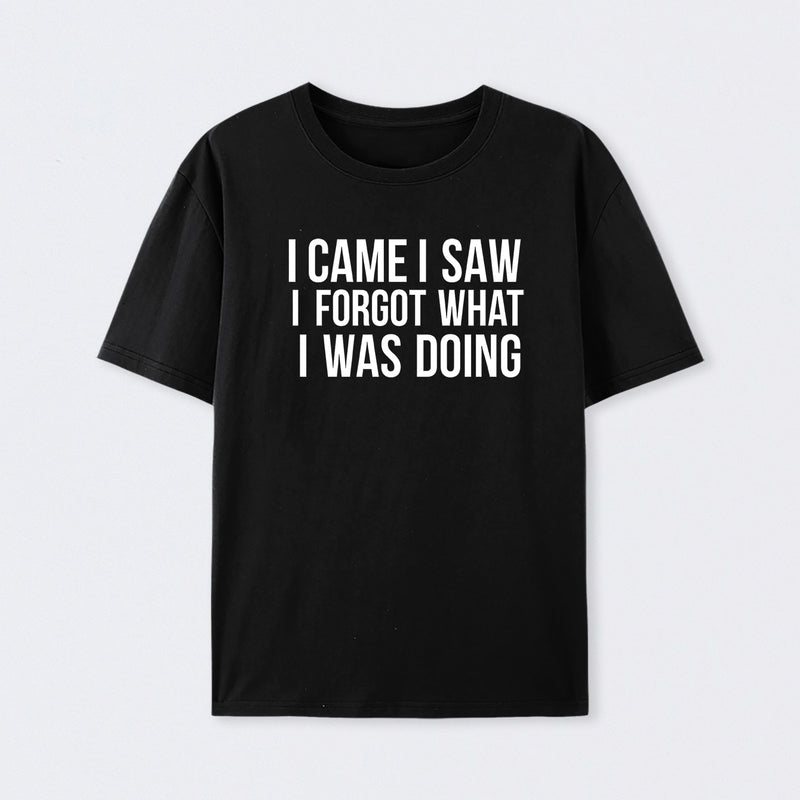 I Came I Saw I Forgot What I Was Doing Humor Joke Quote T-Shirt