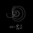 Riemann Mathematical T-Shirt