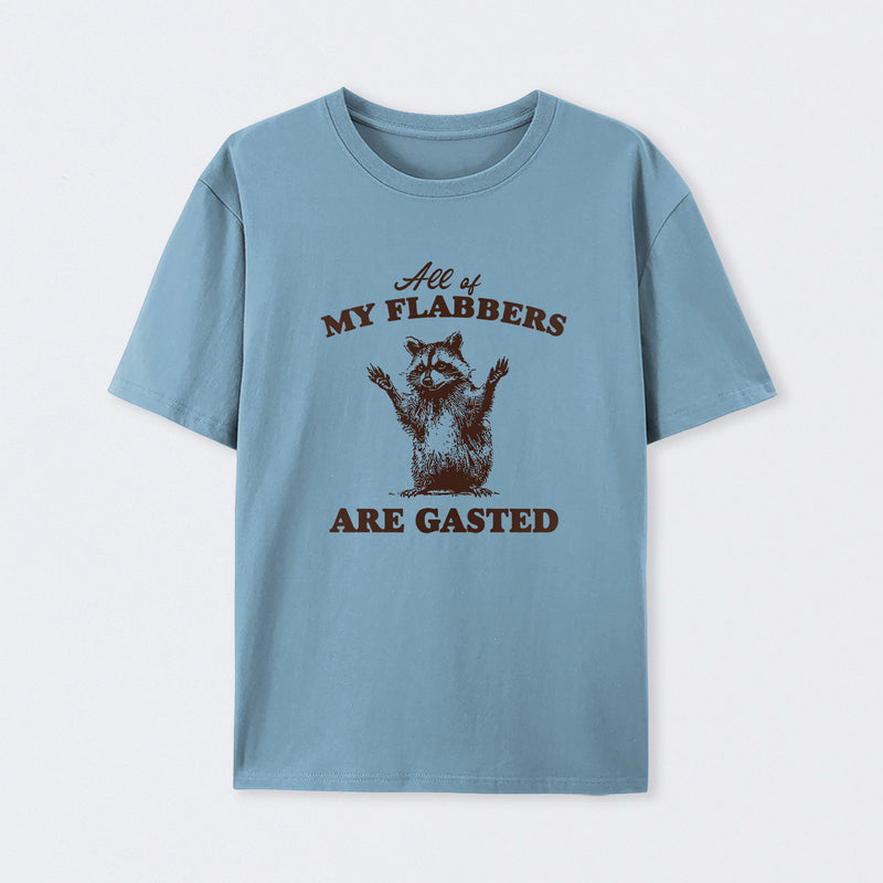 All of My Flabbers Are Gasted Funny Raccoon Meme T-Shirt