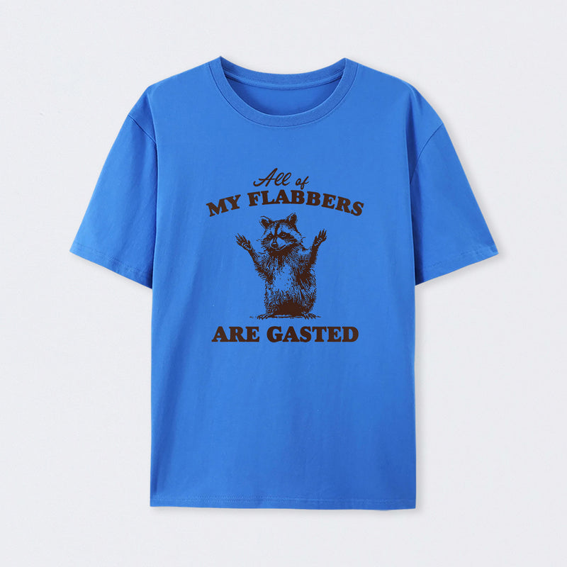 All of My Flabbers Are Gasted Funny Raccoon Meme T-Shirt