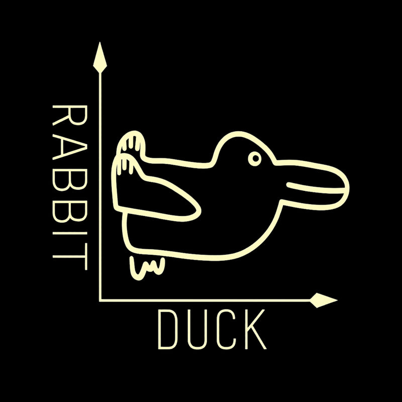 Rabbit or Duck Funny Hoodie