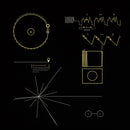 The Voyager Golden Record Hoodie