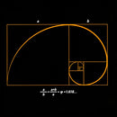 Fibonacci Math Art Science Engineer Hoodie